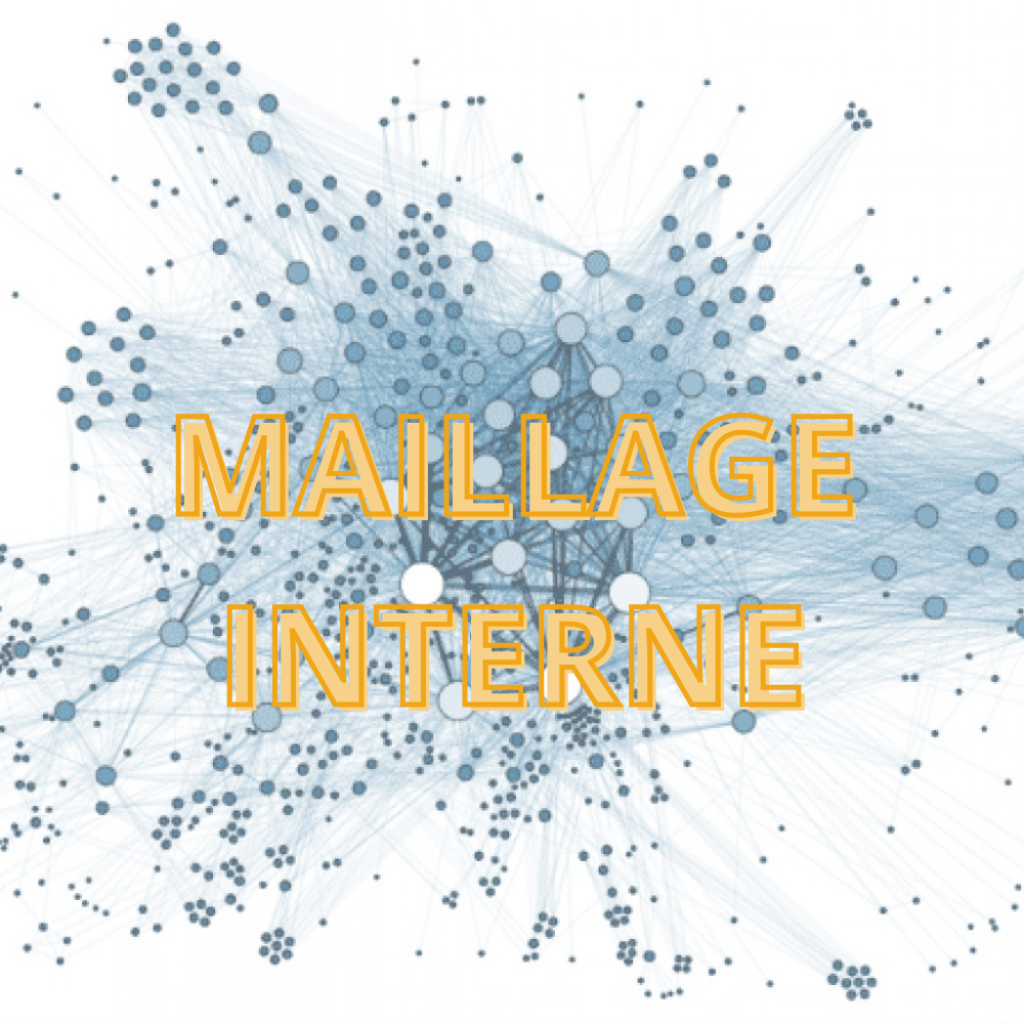 Le maillage interne