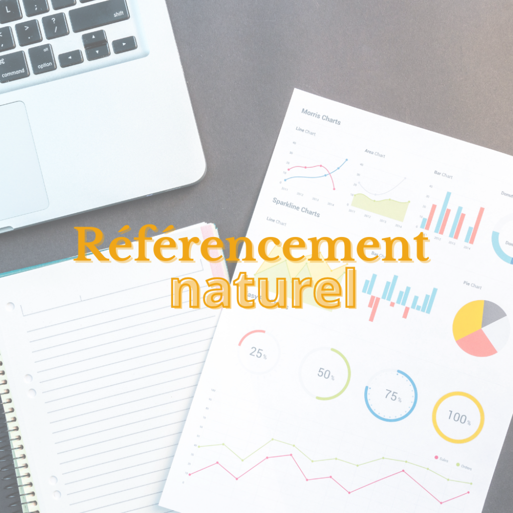 Le référencement naturel : bonnes pratiques et nouveautés