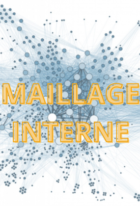Le maillage interne