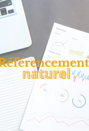 Le référencement naturel : bonnes pratiques et nouveautés