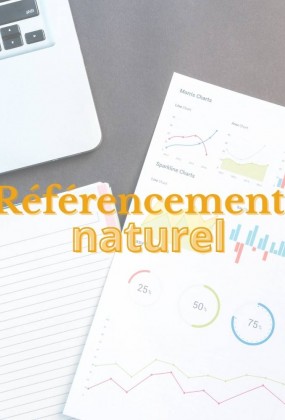 Le référencement naturel : bonnes pratiques et nouveautés