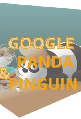 Qu'est-ce que Google Panda et Google Pinguin ?